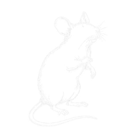 Maus, Illustration