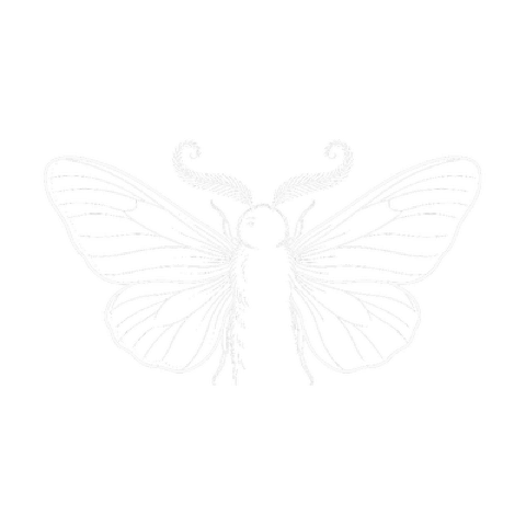 Motte, Illustration
